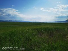 -野鸭湖国家湿地公园