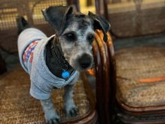 -自游人·美食一楼·地道徽菜(三十年名店)