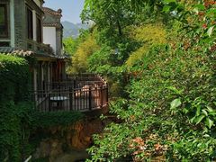 -老张烤羊(王哥庄店)