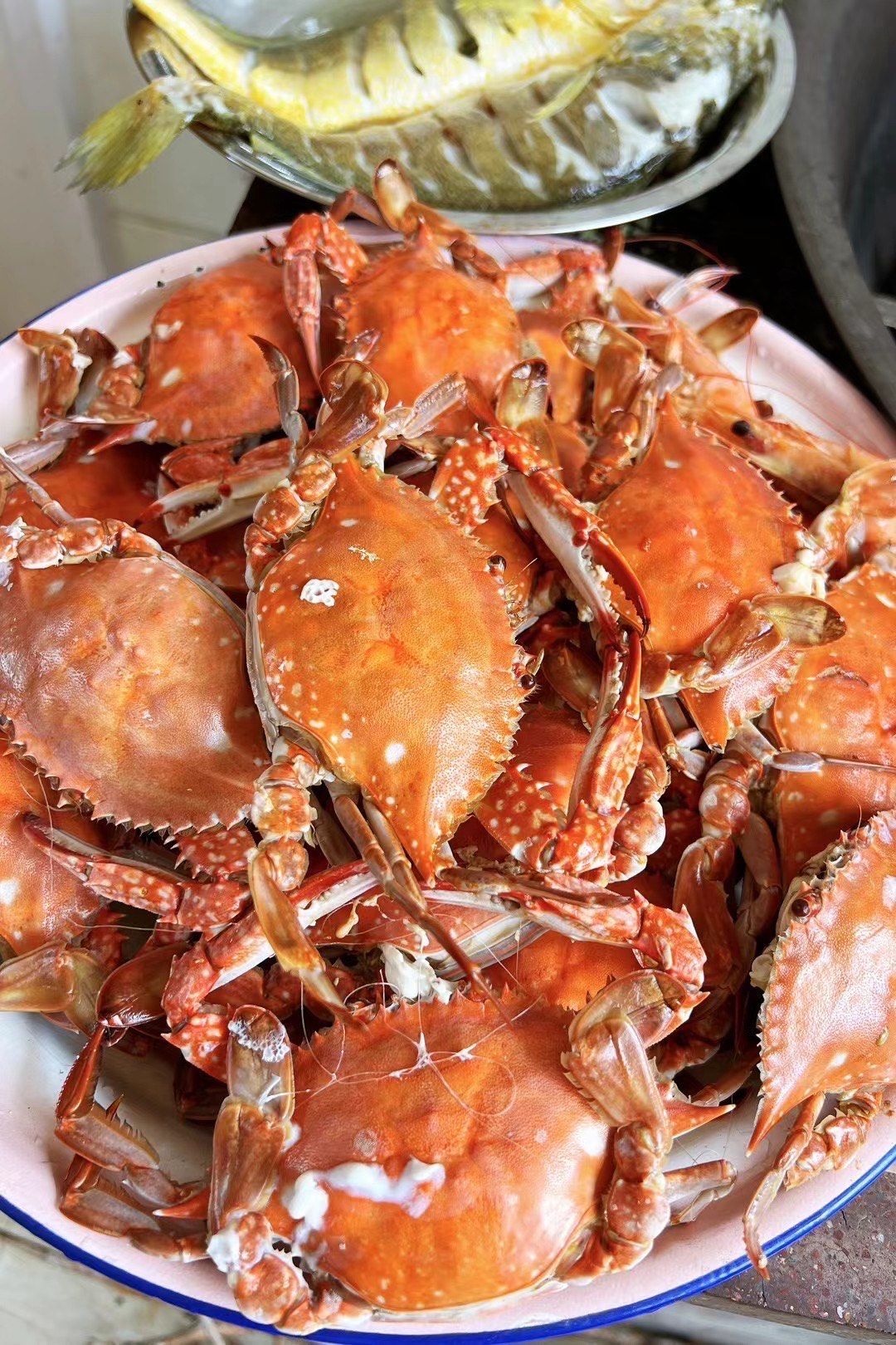 烟台的梭子蟹真的很好吃#海鲜 海蟹 海鲜大餐安排