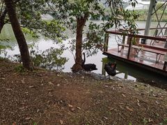 -中国移动南方基地