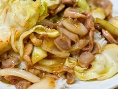 -满洲八旗铁锅靠大鹅(清泉文苑店)