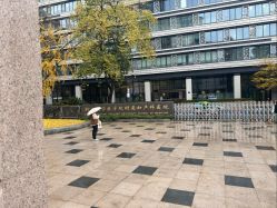 -浙江大学医学院附属妇产科医院(湖滨院区)