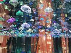 -成都梵高星空艺术馆(春熙路旗舰店)