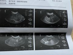 -派美特宠物医院·核磁CT·骨科肿瘤·疑难转诊(沈农禾丰店)