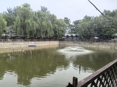-尚庄度假村·庭台树下·户外烧烤·团建CS·轰趴营地(上庄水库店)