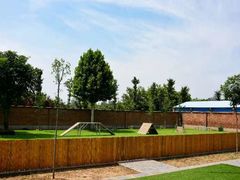 -北京京卫宠物寄养训练中心