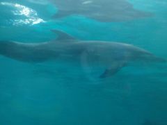 景点-波塞冬旅游度假区