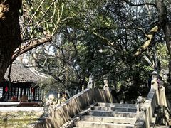 -绮园景区