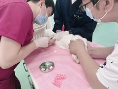-北京观赏动物医院·24小时大型综合·猫专科·异宠专科