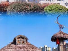 -莘庄梅园