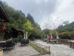 -悠然山高山湿地景区悠然自得庭