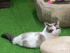 -白兔子密室(长寿路店)