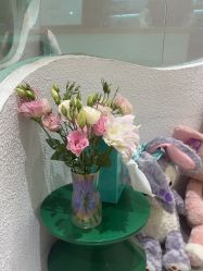 -薇薇安花系SPA