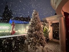 -弦月窗LUNETTE BY AMANDA(复兴路店)