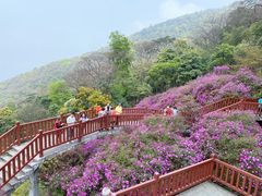 -广州市石门国家森林公园