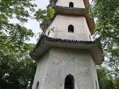 -江心屿景区