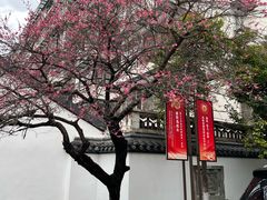 -浙江大学医学院附属第一医院(庆春院区)