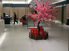 大堂-红鼎豆捞·非遗鲍皇汤火锅(宝丰路店)