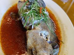 -三亚福朋喜来登酒店·大堂吧