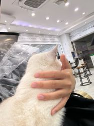 -镁连社·美联社