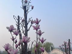 -甬妈妈湖畔里餐厅(唐山南湖旅游景区店)