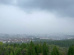 -原山国家森林公园