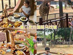 -灵玲国际马戏城