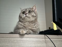 -荔康动物医院(康王北路店)