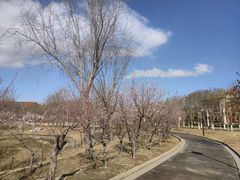 -南开大学(津南校区)