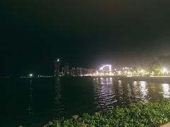 -万绿园