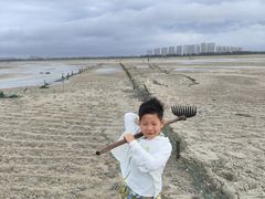 -红树林天天赶海