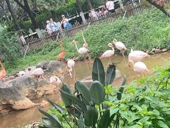 -昆明动物园