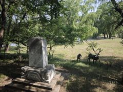 -北京麋鹿生态实验中心