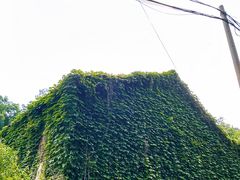 -青龙山国家森林公园