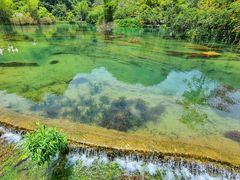 -靖西鹅泉风景区