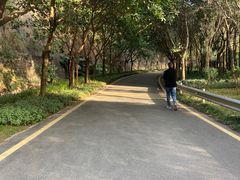 -小南山公园
