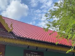 -mamalao老挝烤肉糯米饭