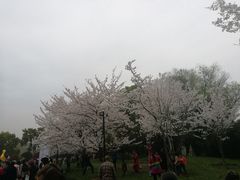 -堤角公园