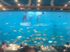 -瑞德姆美人鱼海底演艺主题餐厅(亚龙湾店)