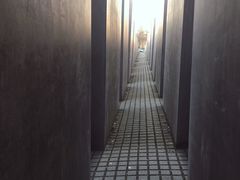 -欧洲被害犹太人纪念碑