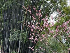 -成都杜甫草堂博物馆