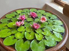-第六季自助餐厅(甜水园店)
