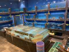 -五谷芳乳鸽王（大梅沙总店C区）(网红打卡店)