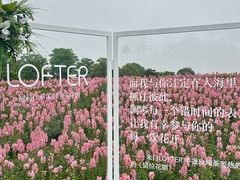 -径山花海