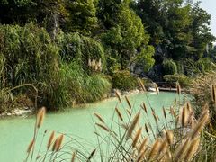 -上海吴淞炮台湾国家湿地公园