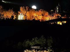 -禅宗少林·音乐大典