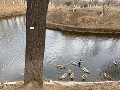 -东郊湿地公园