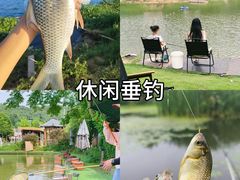 -上海山野camping·户外天幕烧烤·团建拓展营地
