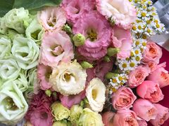 -双季花艺园艺市场(浦东店)